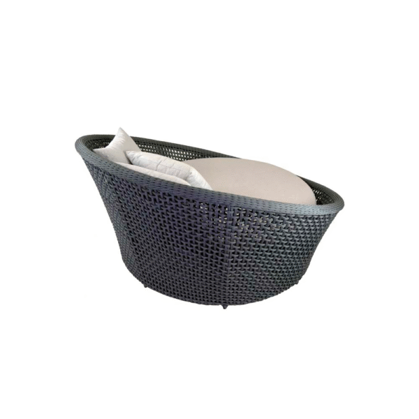 CONCHA SIENA (2) CONCHA SIENA